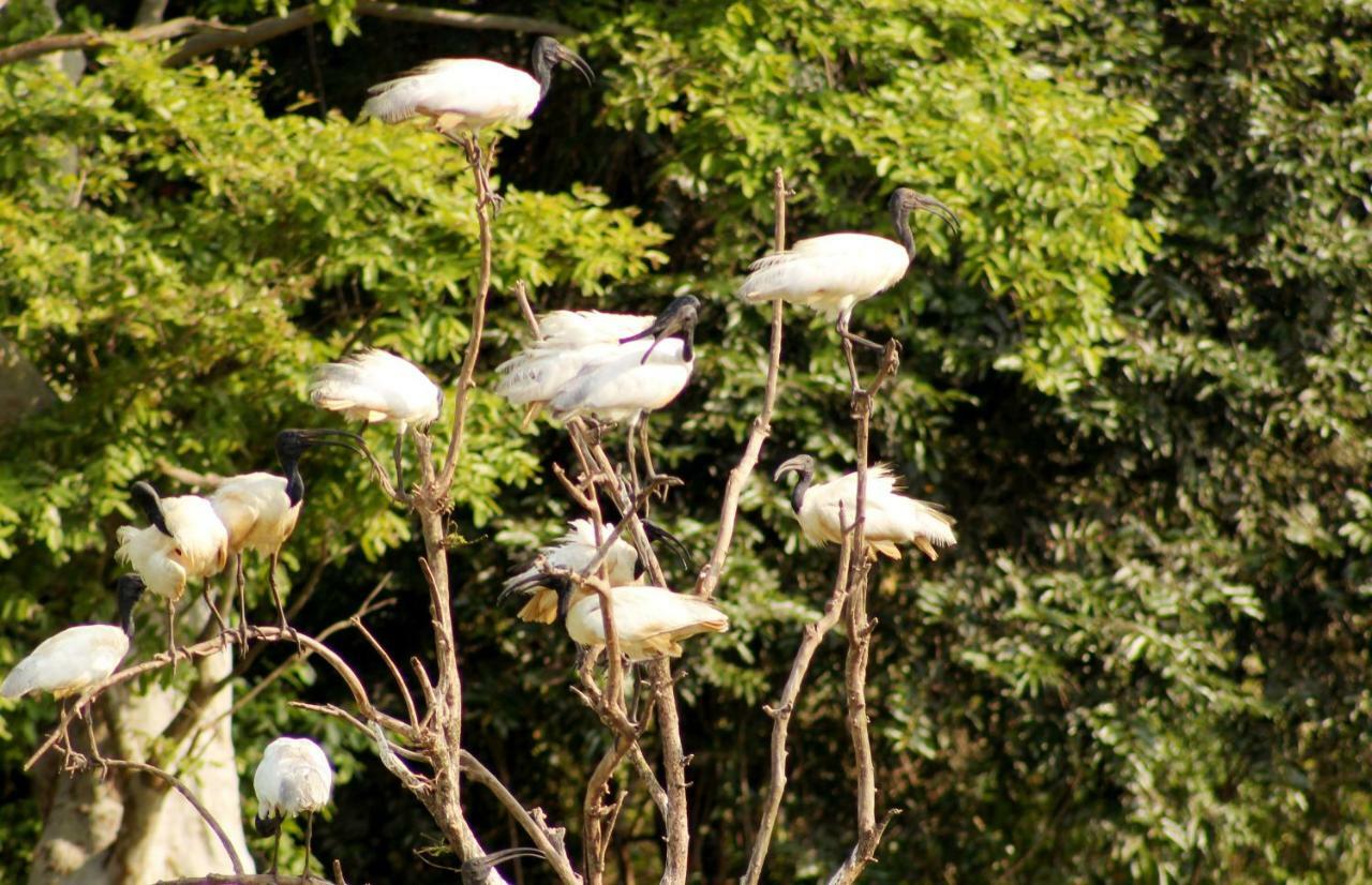 Wasgamu Safari Lodge Wasgamuwa Kültér fotó