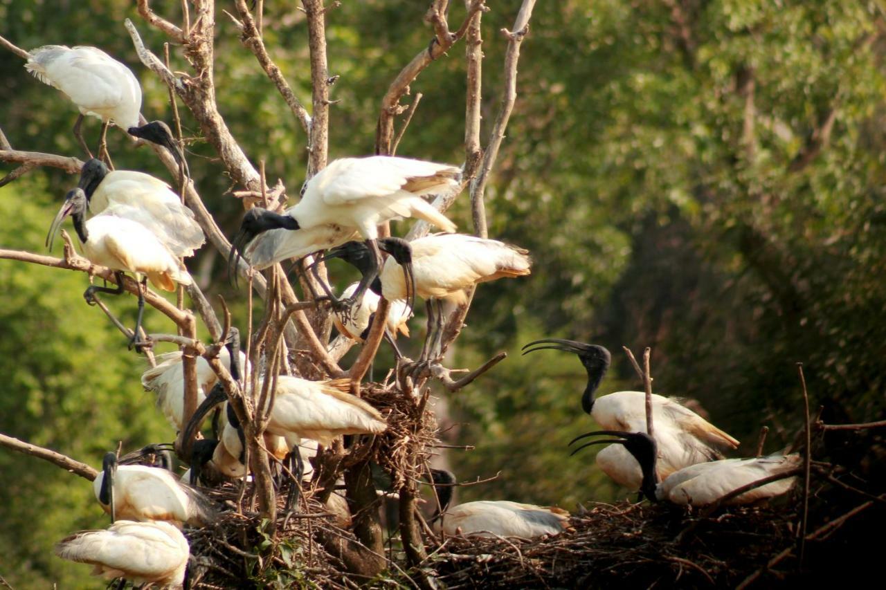 Wasgamu Safari Lodge Wasgamuwa Kültér fotó