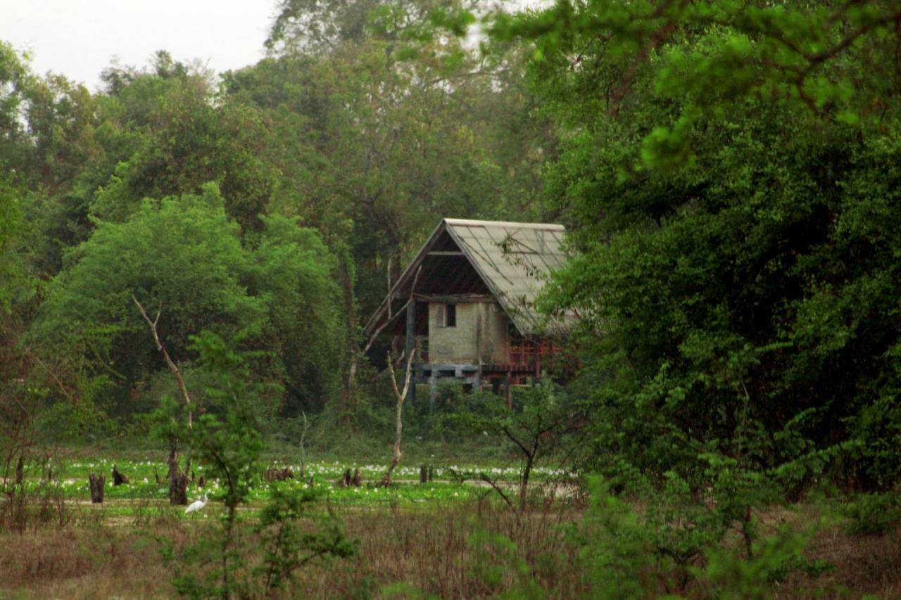 Wasgamu Safari Lodge Wasgamuwa Kültér fotó