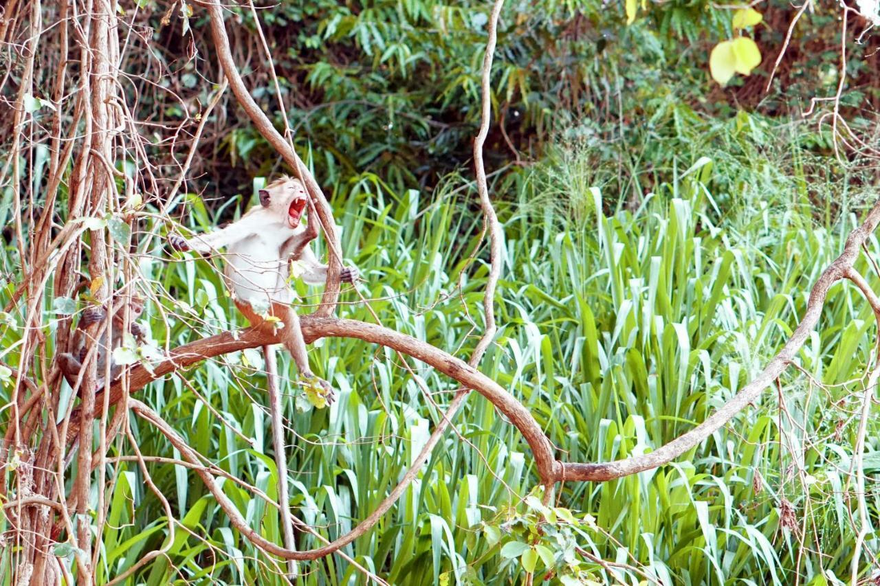 Wasgamu Safari Lodge Wasgamuwa Kültér fotó