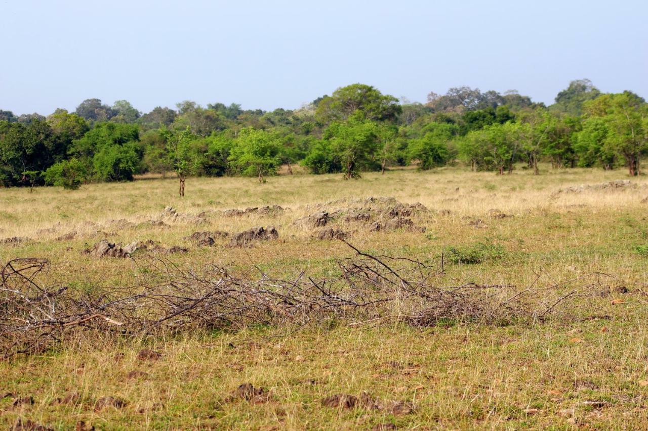 Wasgamu Safari Lodge Wasgamuwa Kültér fotó